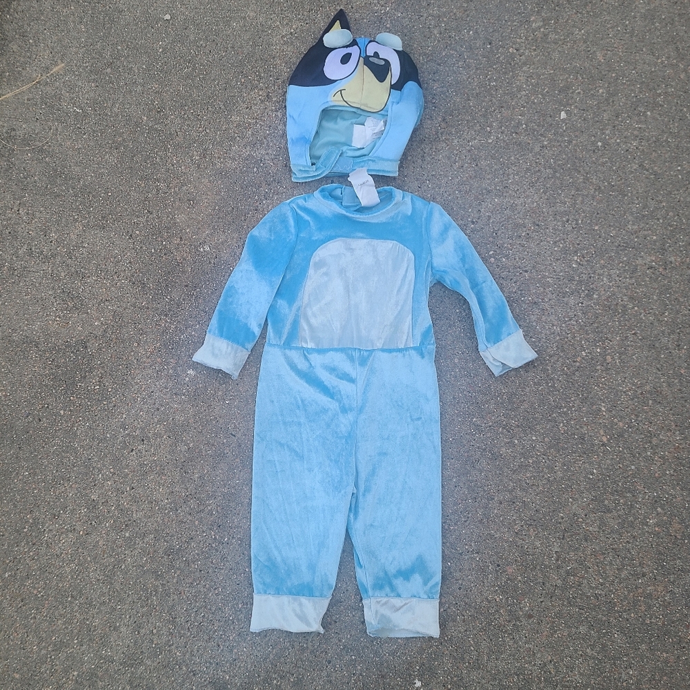 Bluey Costume